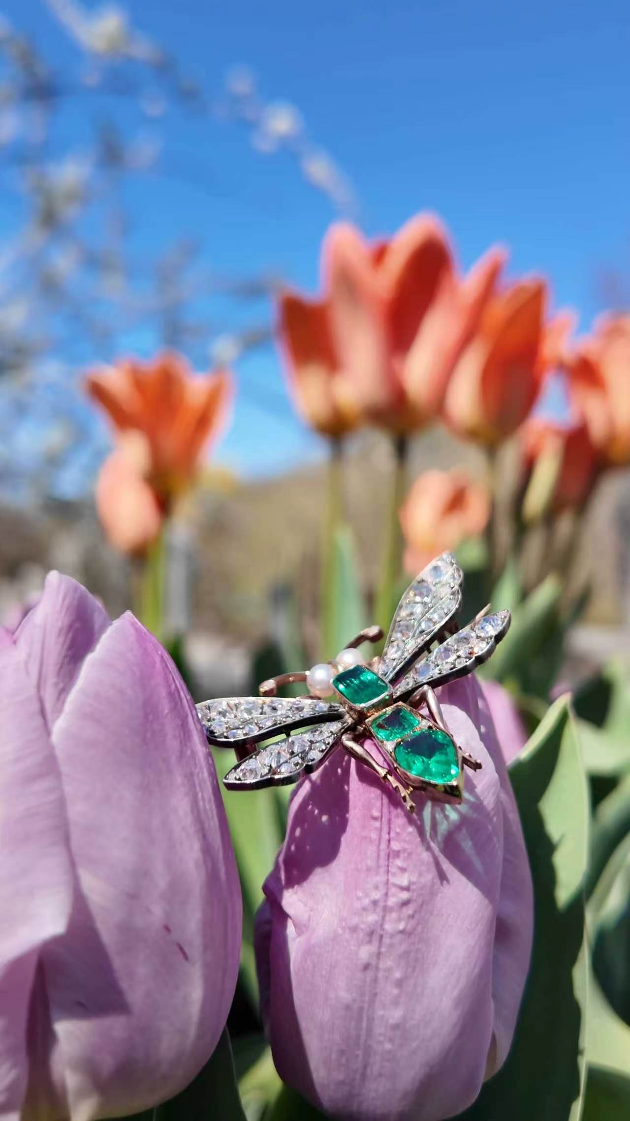 Spring Flutters
